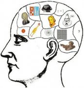 大脑揭秘——记忆力最好的人